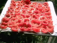 Tomatenblech.webp