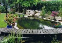 CCF03082008.webp