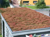 DSCN4786.webp