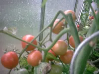 IM000607.webp
