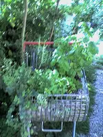 Bild6.webp