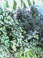 Bild8.webp