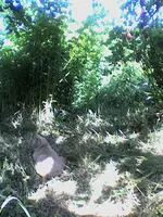 Bild11.webp