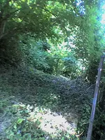 Bild12.webp