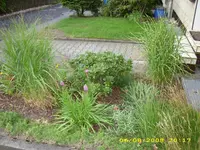 Test 647.webp