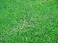 DSC01294.webp