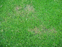 DSC01295.webp