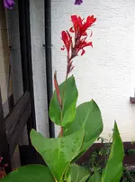 DSCN3269.webp