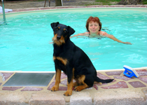 DSC00384.webp