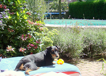 DSC00580.webp