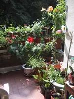 Balkon July o8.webp