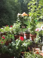 Balkon o8 5.webp