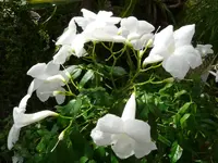 P1010911.webp