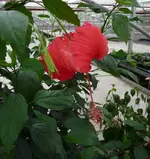 P1010914.webp