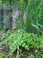 DSC00989.webp
