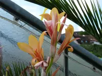 P1010886.webp