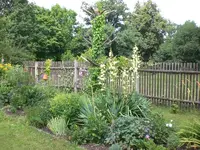 Garten 07-1-2008 003.webp