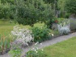 Garten 07-1-2008 005.jpg