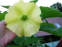 DSCN0365.webp