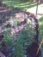 Bild049.webp