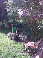 Bild051.webp