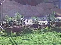 Bild050.webp
