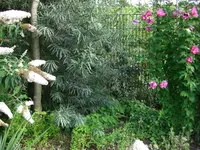 comp_CIMG0576_0297.webp