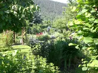 Garten 06-1 055.webp