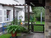 P1010161.webp