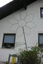P1020427.webp