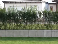 Kopie von CIMG2870.webp