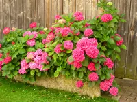 DSCN0006.webp