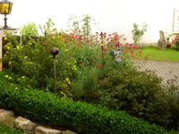 DSCN0011.webp