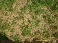 Test 662.webp