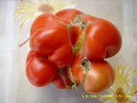 Test 657.webp