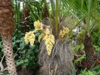 P1010600.webp