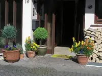 Kübelgarten im Frühling.webp