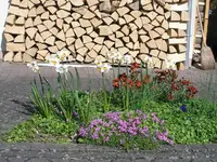 kleines Beet.webp