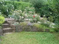 Kleerasen.webp