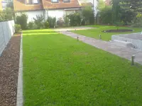 DSC01702.webp