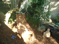 CIMG2312.webp