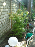 CIMG2314.webp