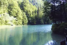 4.webp