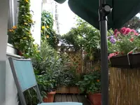 terasse150808.webp