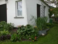 Garten 05-3 085.webp