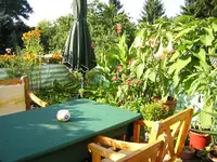 DSCN0384.webp