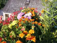 DSCN0379.webp