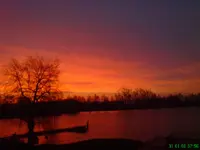 DSC00265.webp