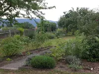 Garten August-2008 011.webp