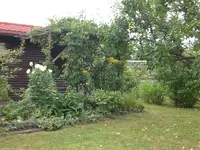 Garten August-2008 015.webp